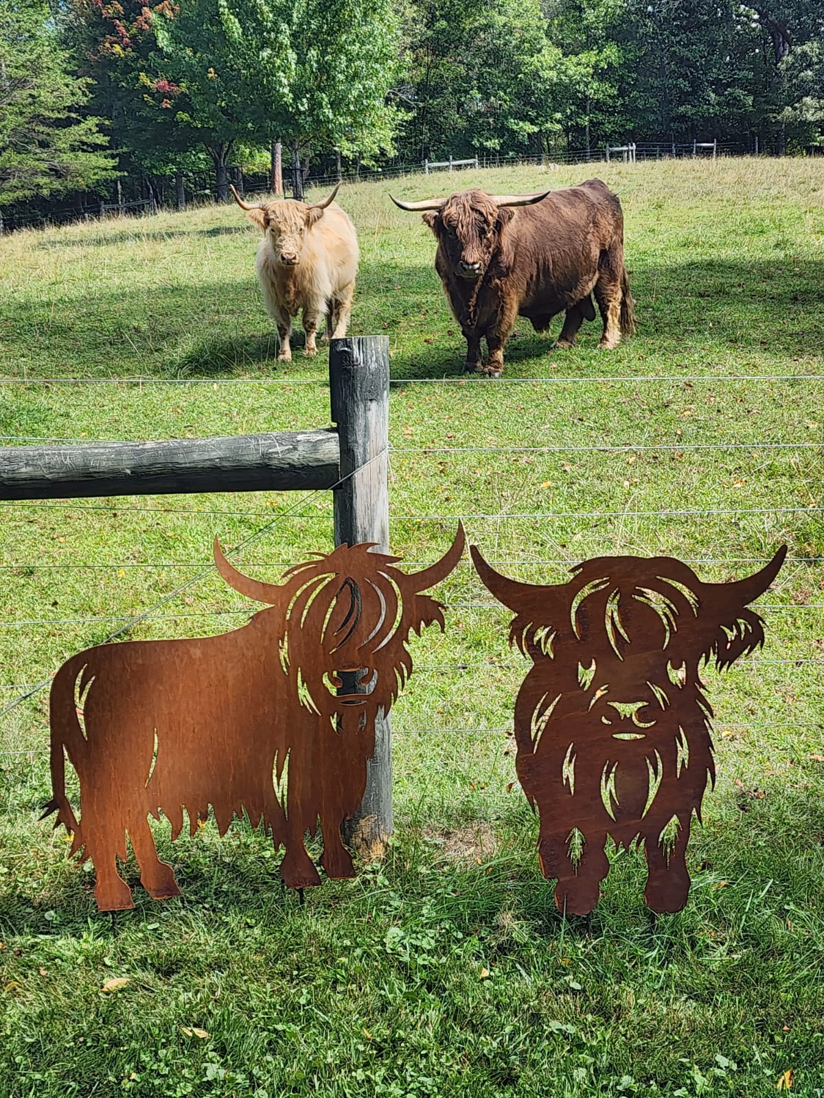 Highland Cow "Callie" Metal Outdoor Art
