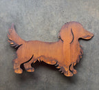 "Gunner" Long Haired Dachshund