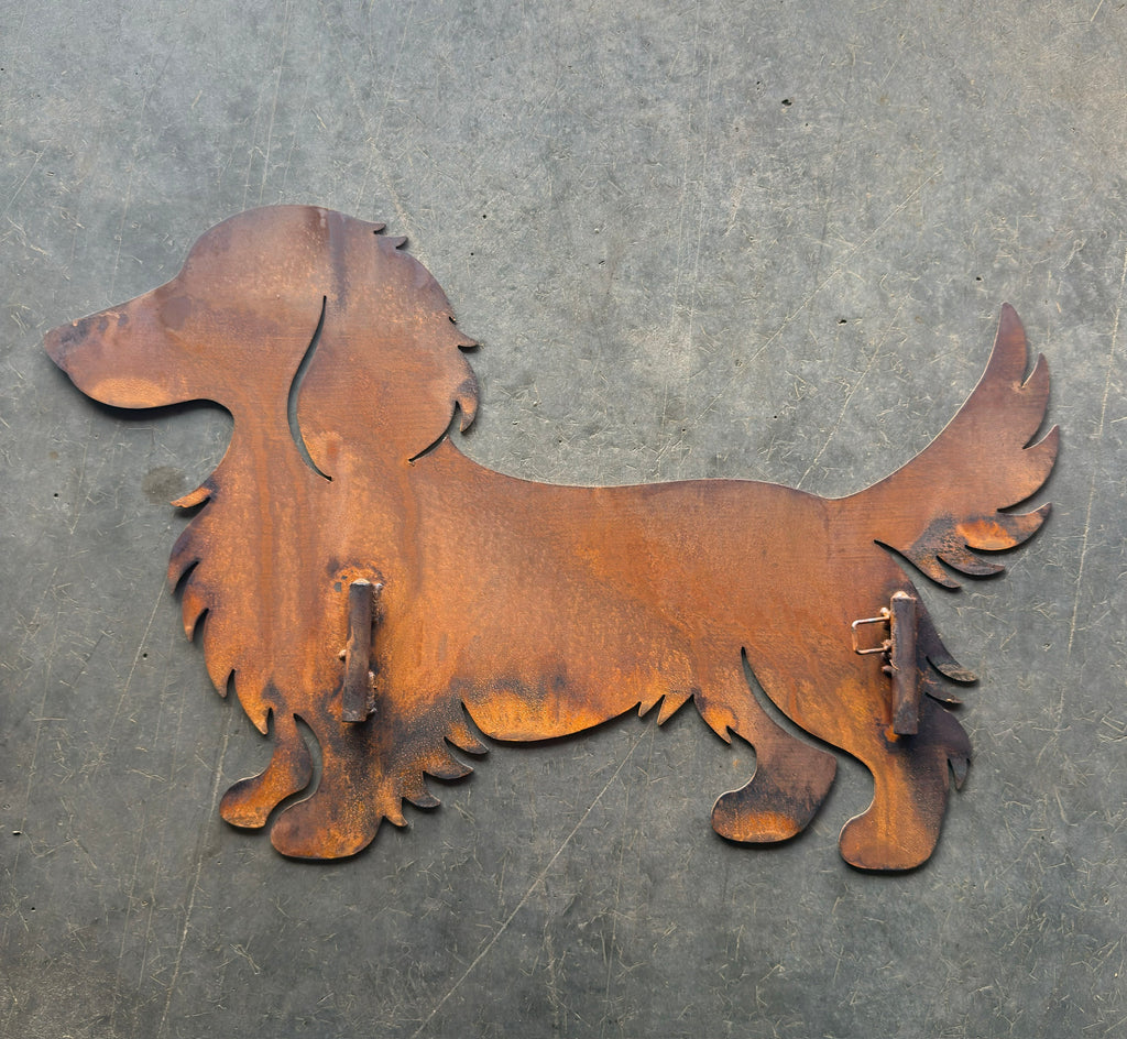 "Gunner" Long Haired Dachshund