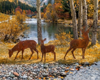 Standing Fawn Metal Outdoor Art