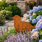 Retriever